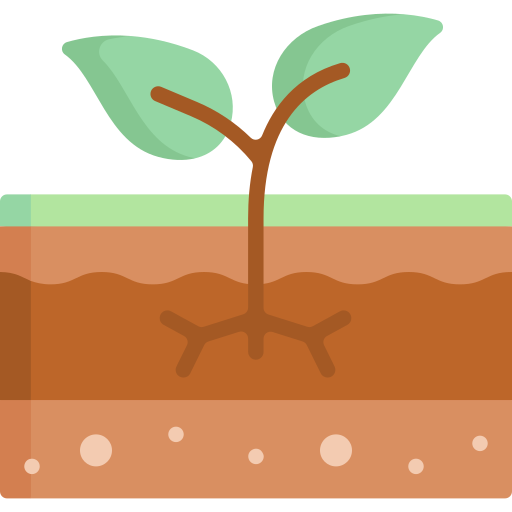 moringa-oleifera-fertilizza-il-suolo-e-previene-l'-erosione